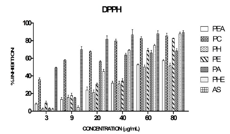 in vitro antioxidant activity thesis in vitro antioxidant activity thesis